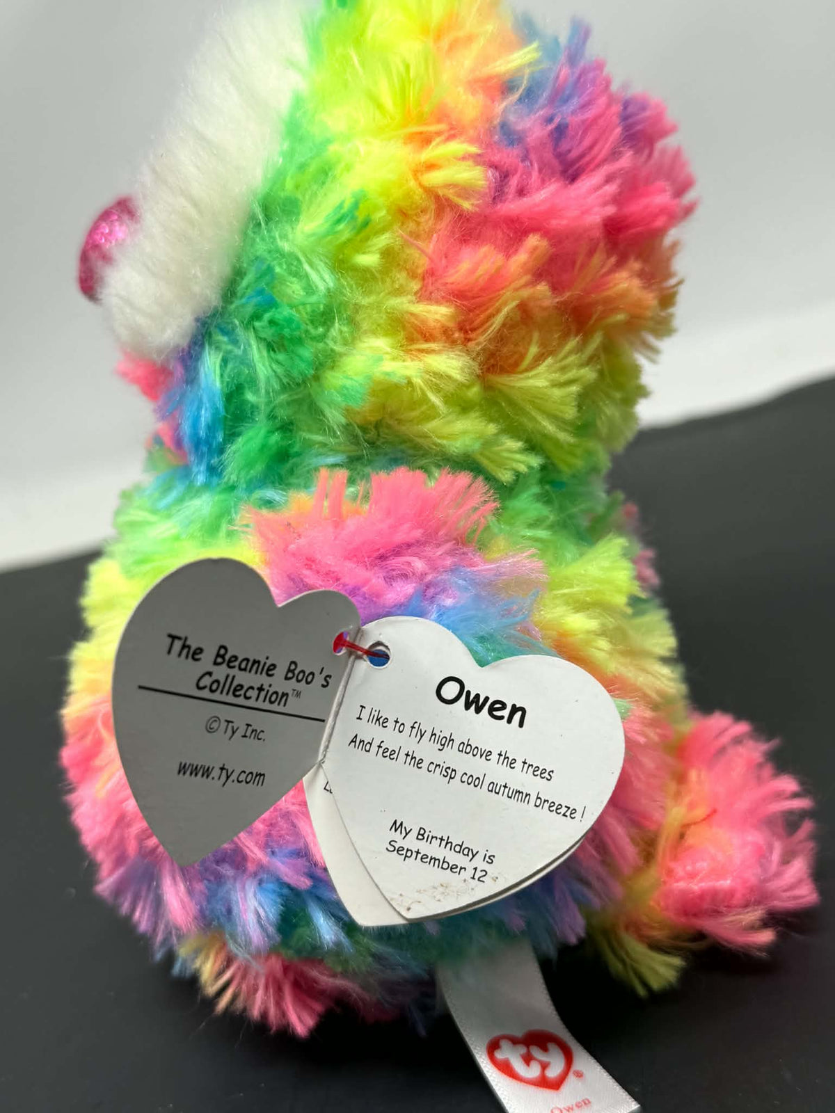 Twosday 02 – Ty Beanie Boo Rainbow Owen Plush