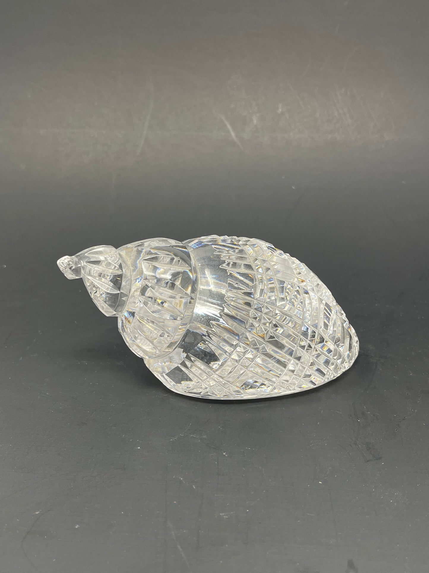 Waterford Crystal Conch Shell Paperweight
