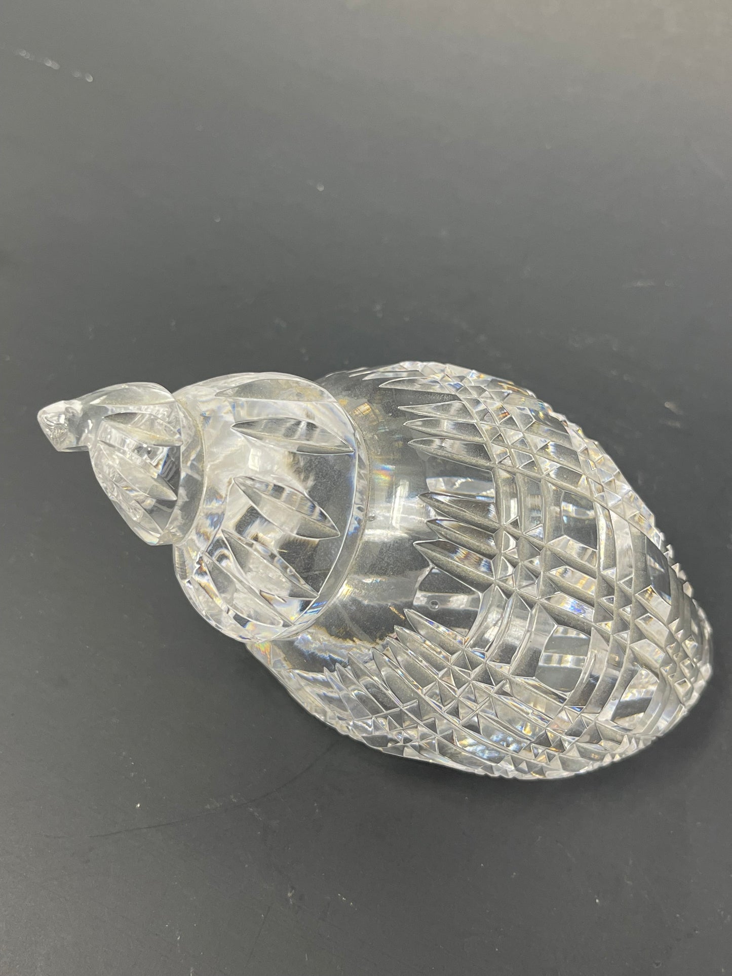 Waterford Crystal Conch Shell Paperweight
