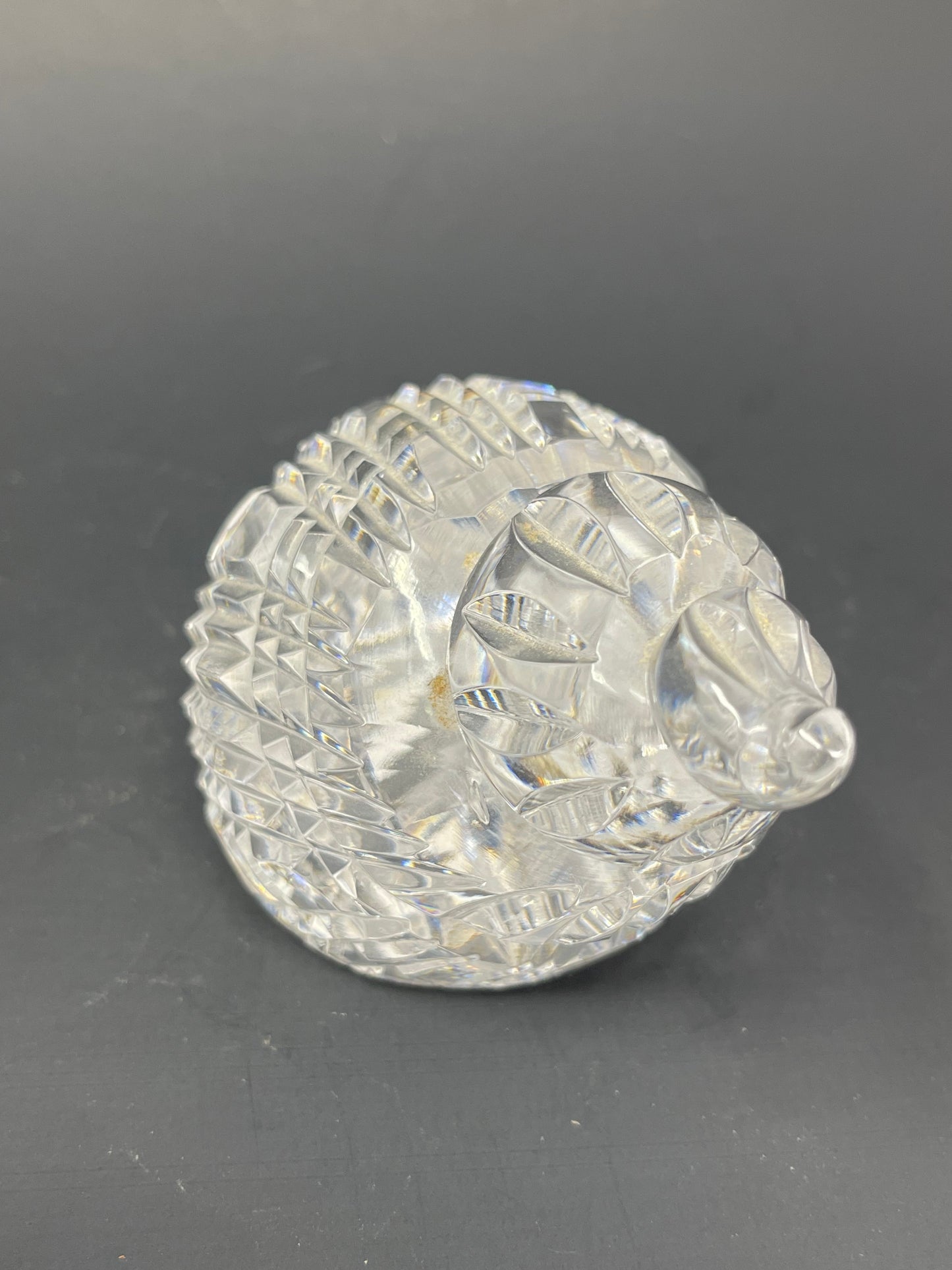 Waterford Crystal Conch Shell Paperweight