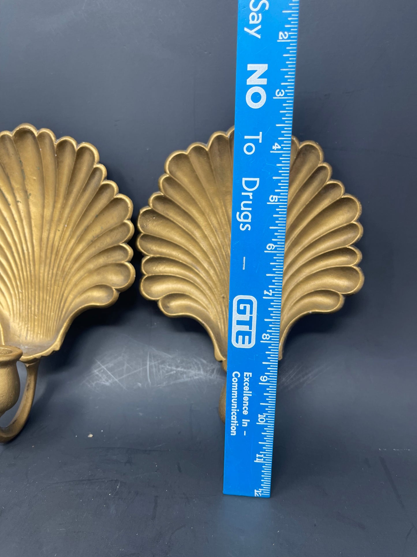 Set Of Sexton Seashell Wall Sconces