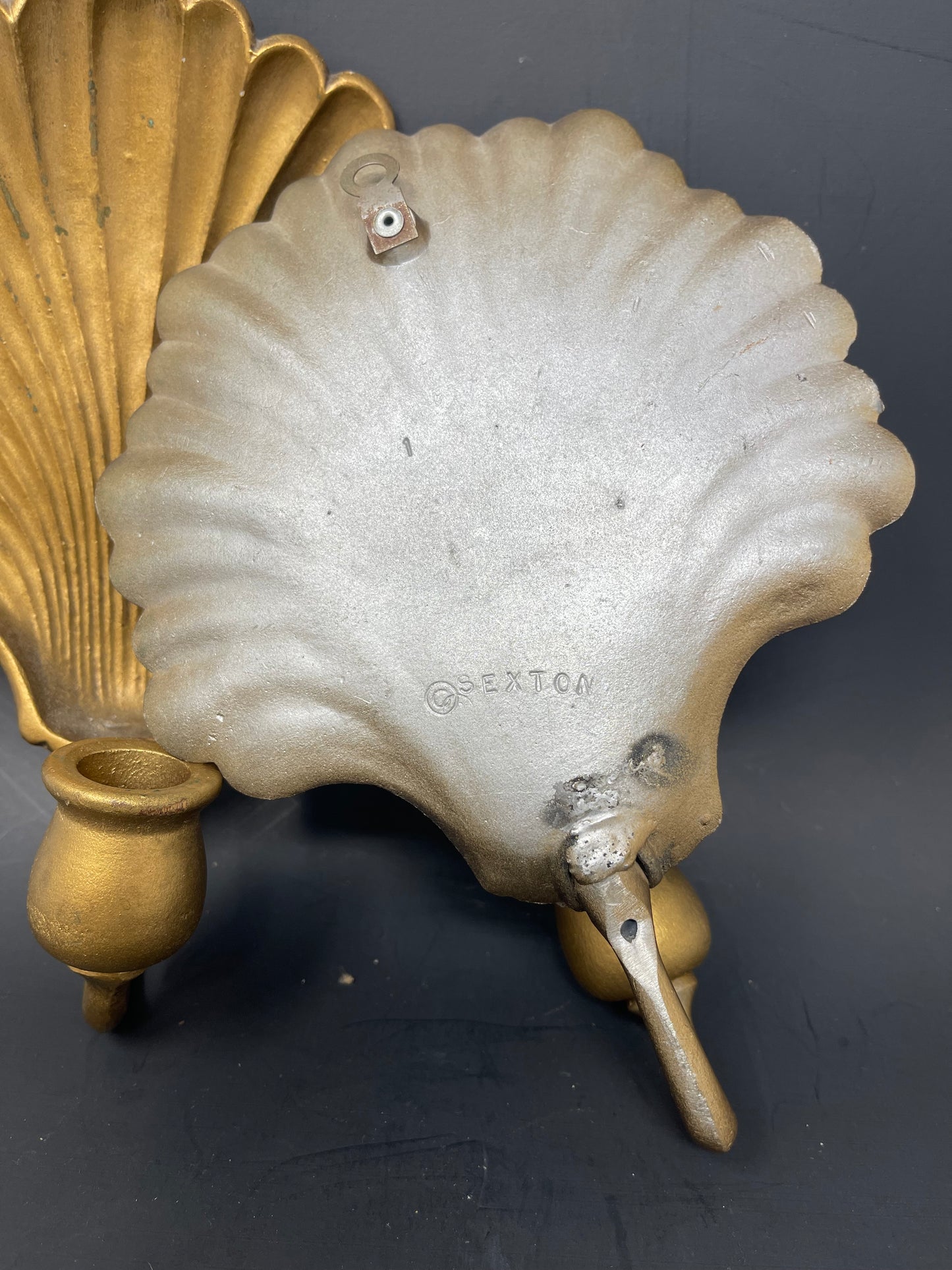 Set Of Sexton Seashell Wall Sconces