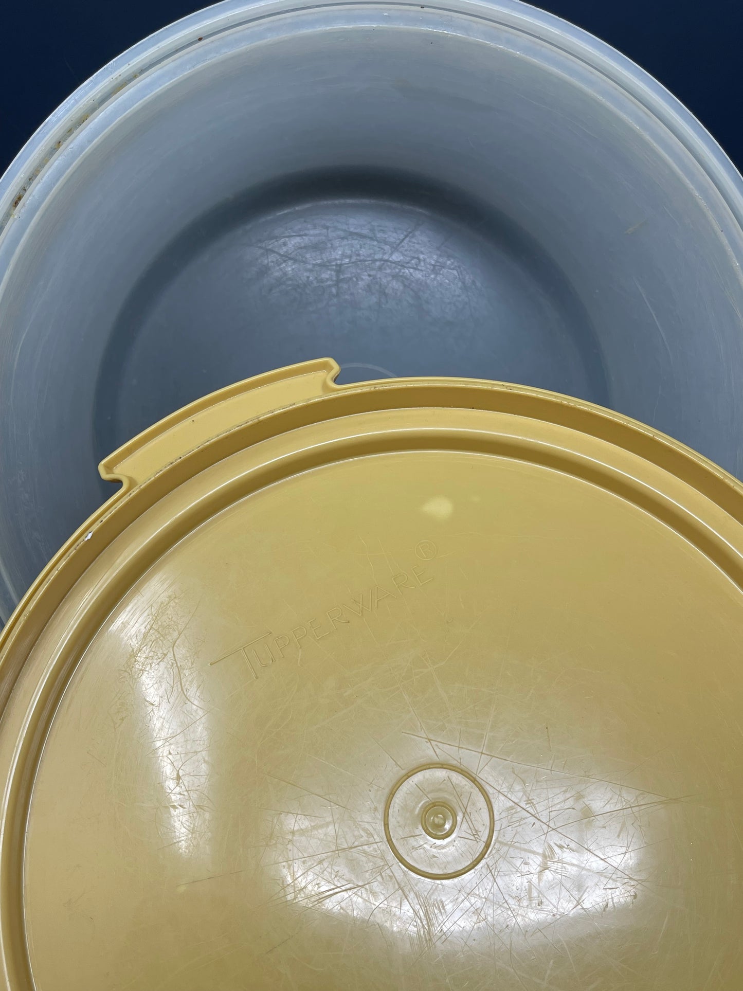 Vintage Tupperware Cake Keeper