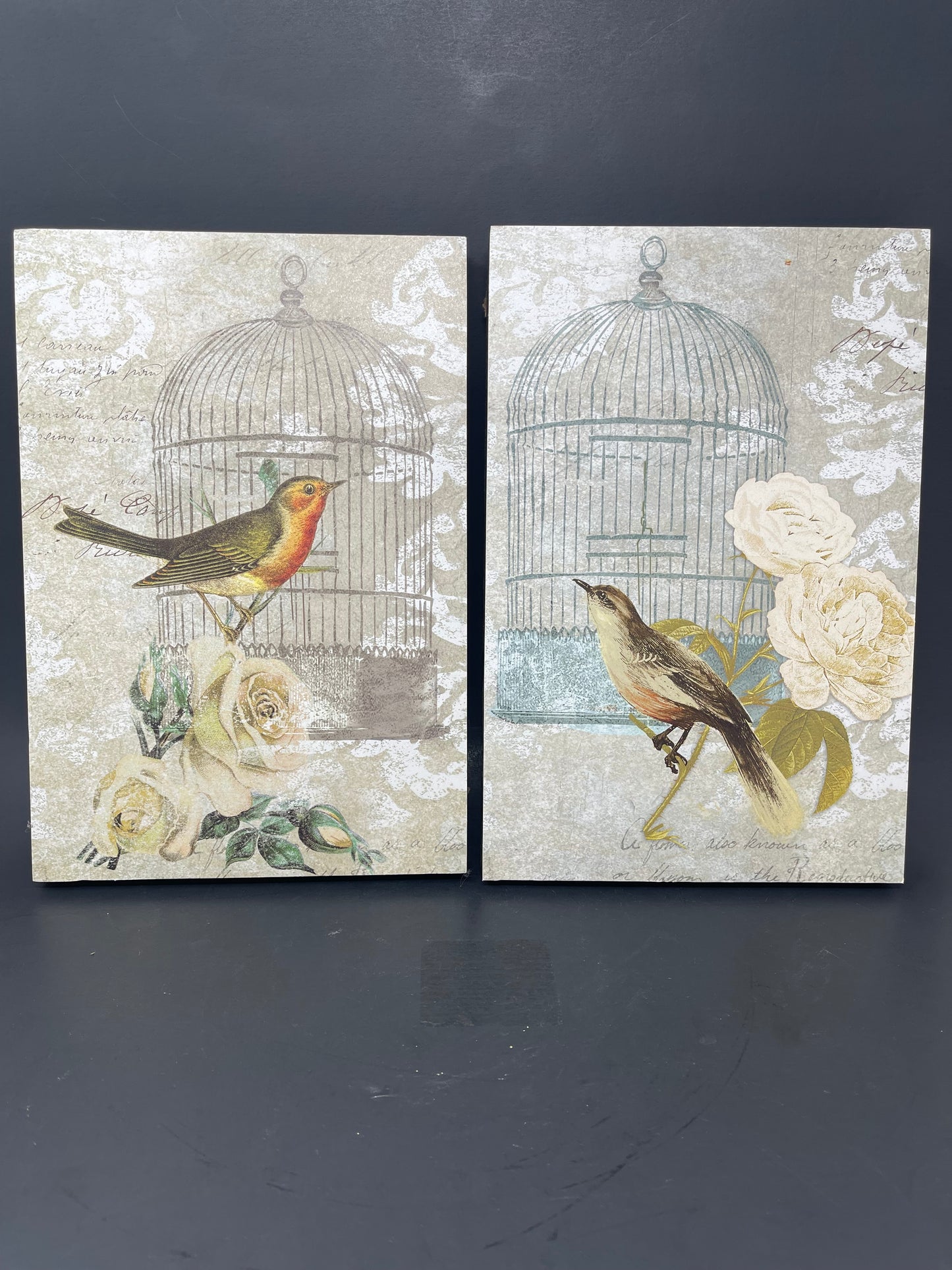 Floral Bird Cage Wall Decor Set Of 2