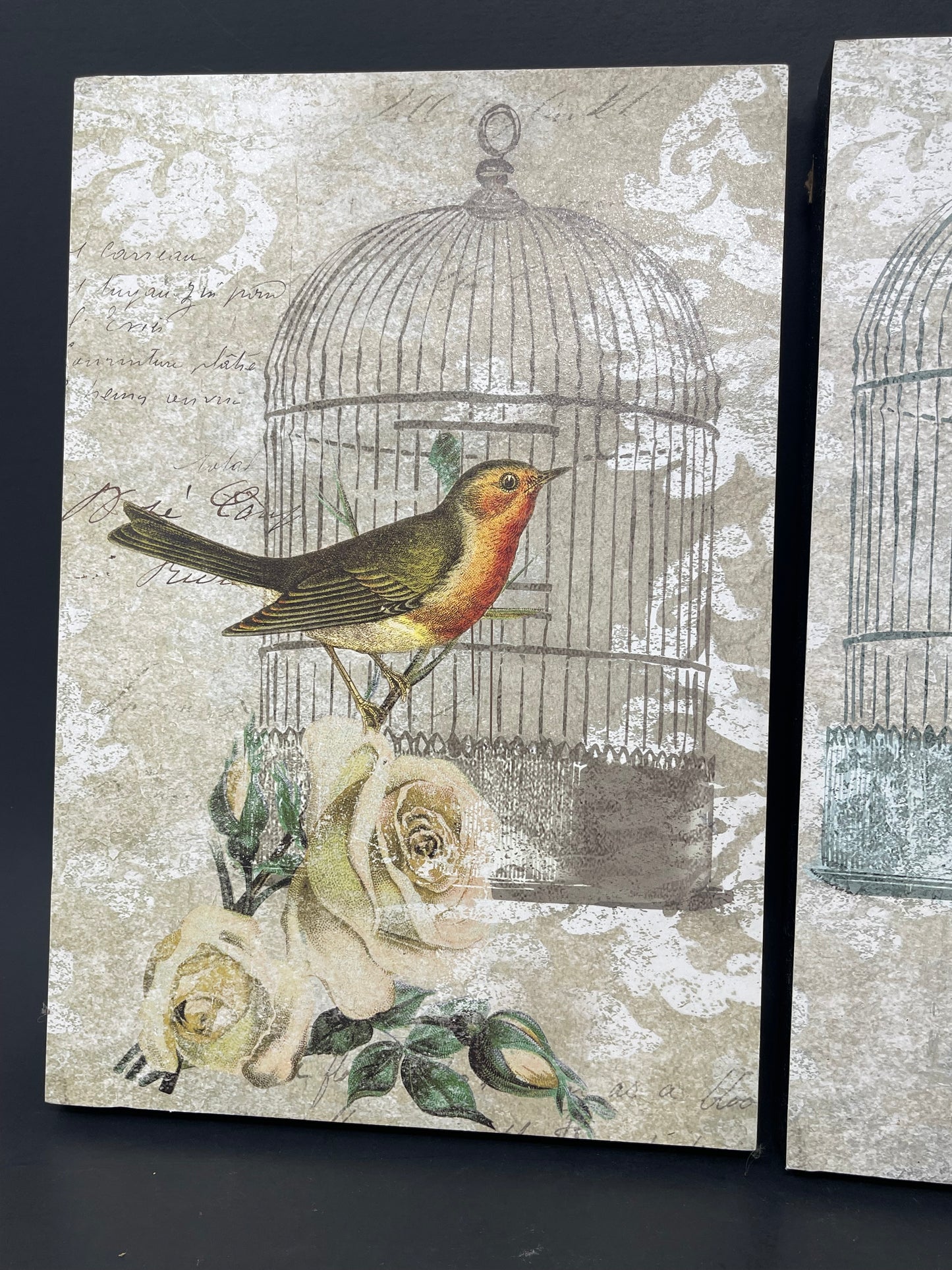 Floral Bird Cage Wall Decor Set Of 2