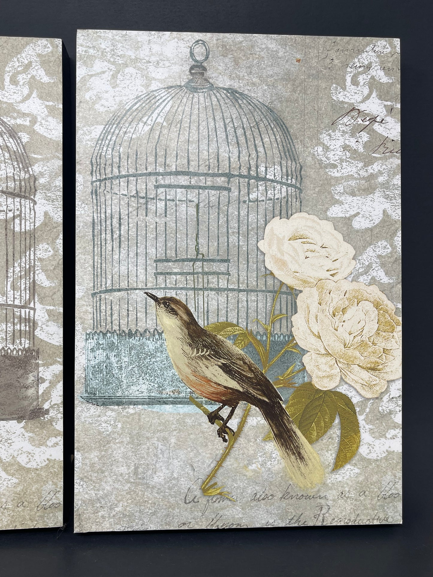 Floral Bird Cage Wall Decor Set Of 2