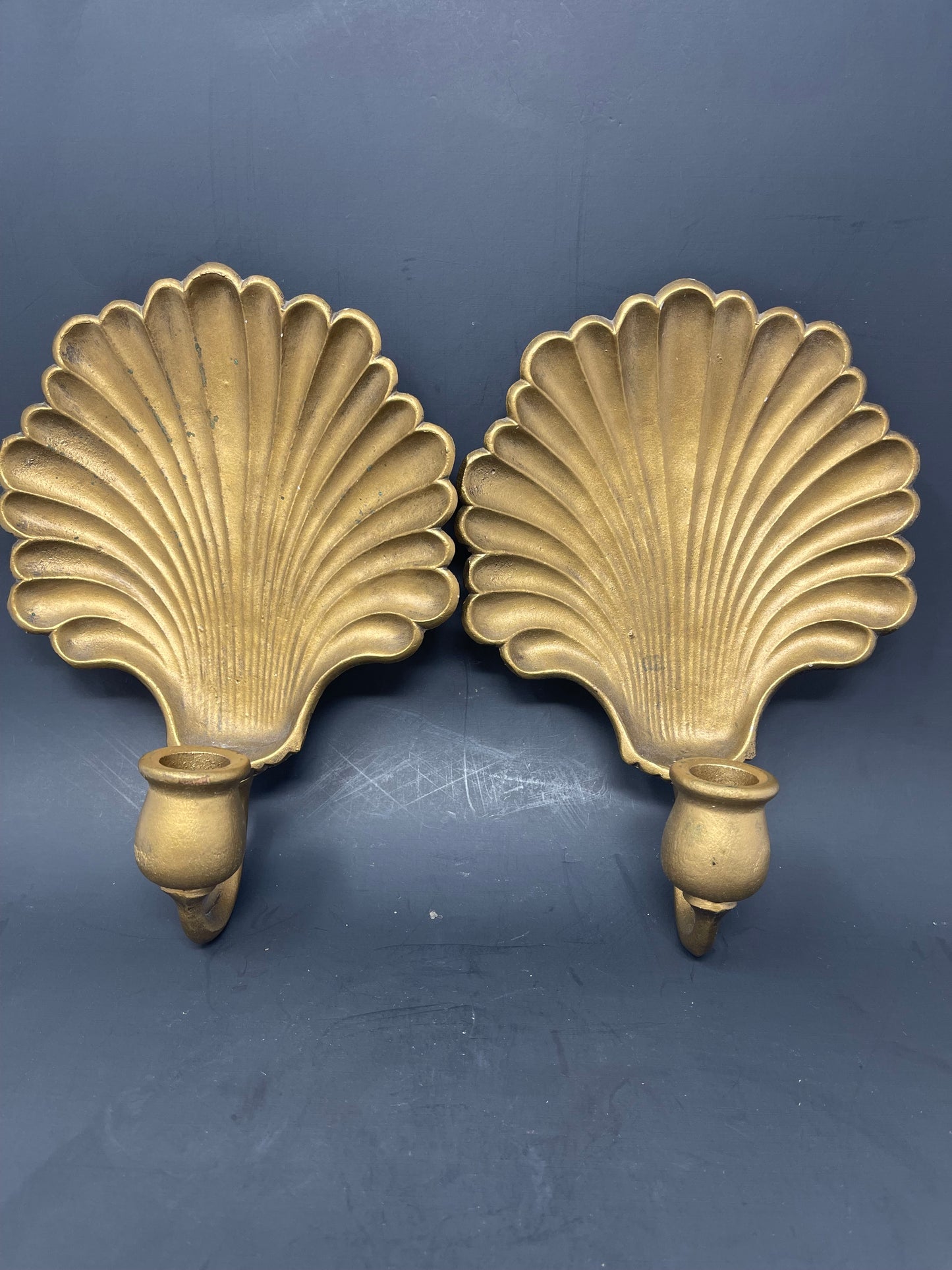 Set Of Sexton Seashell Wall Sconces