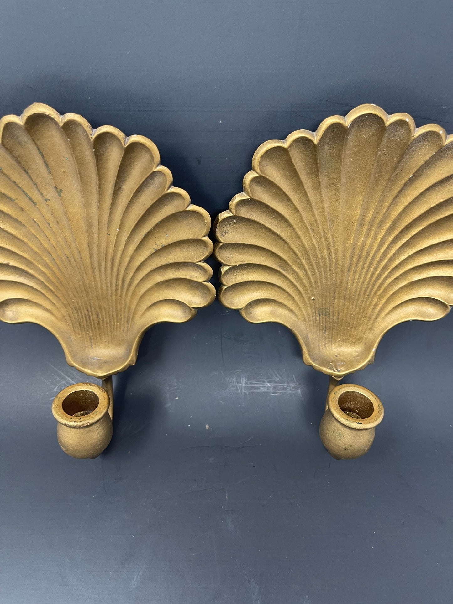 Set Of Sexton Seashell Wall Sconces