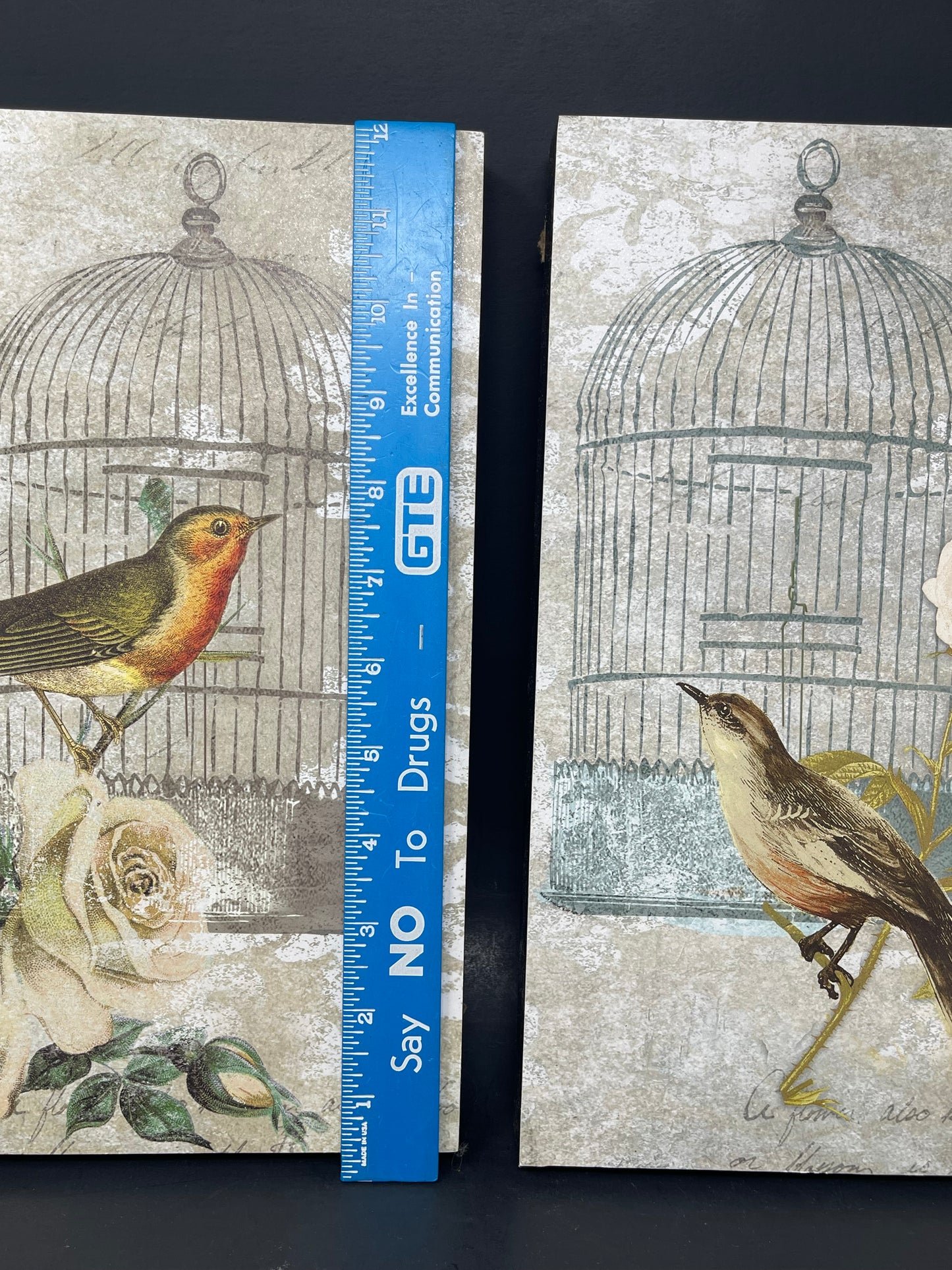 Floral Bird Cage Wall Decor Set Of 2